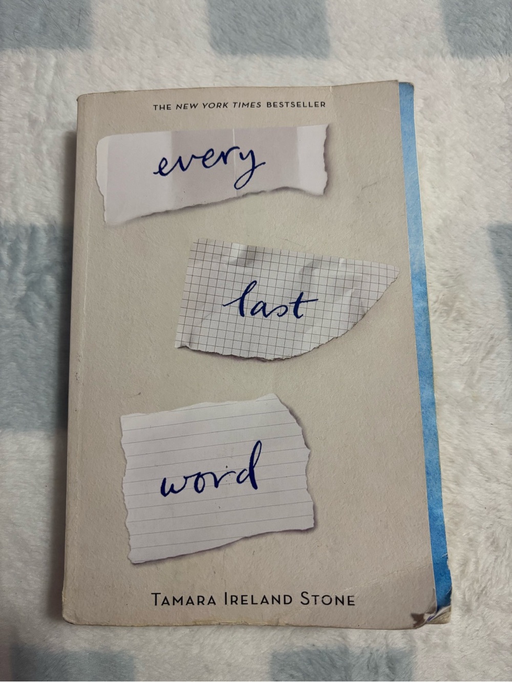 Every Last Word Paperback Book